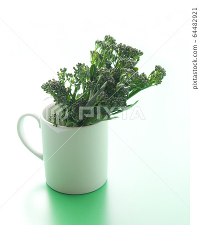 Stem broccoli 64482921