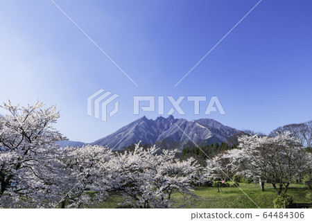 麻生太郎 64484306