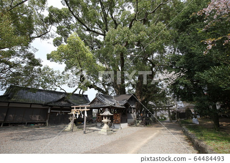 富士山神社 富士山神社 64484493