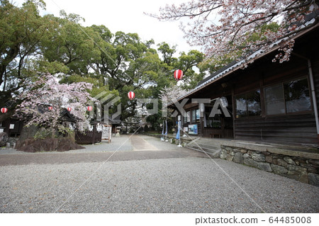 富士山神社 富士山神社 64485008