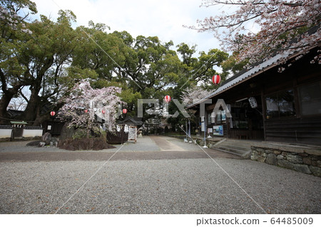 富士山神社 64485009
