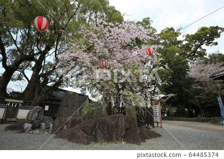 Fujiku Shrine 64485374
