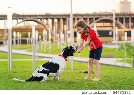 Girl walks with a dog 64485382