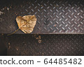 The leaves of the dry bodhi tree lay on the metal stairway steps. 64485482