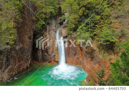 [Nagano] Dark green Ushigataki 64485703