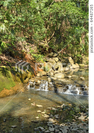 Walk in Setagaya: Todoroki Gorge Walk in Setagaya: Todoroki Gorge 64487165