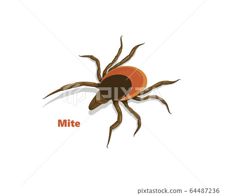 Parasitic mite. Concept of mite danger, disease danger and encephalitis precaution. Parasitic mite. Concept of mite danger, disease danger and encephalitis precaution. 64487236