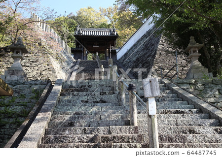 隱藏的地藏 隱藏的地藏 64487745