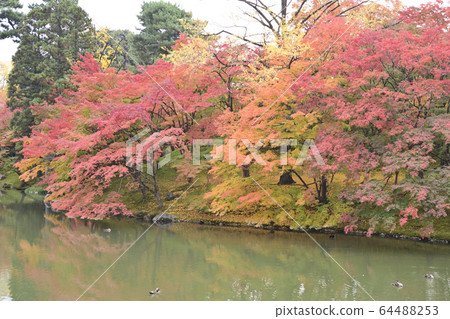 Kyoto Sento Gosho Kitaike Pond Kyoto Sento Gosho Kitaike Pond 64488253