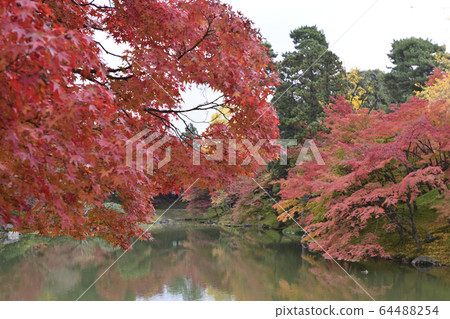 Kyoto Sento Gosho Kitaike Pond Kyoto Sento Gosho Kitaike Pond 64488254