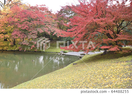 Kyoto Sento Gosho Kitaike Pond Kyoto Sento Gosho Kitaike Pond 64488255