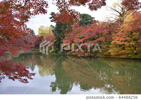 Kyoto Sento Gosho Kitaike Pond 64488256