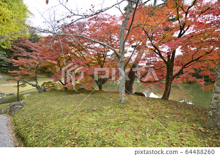 Kyoto Sento Gosho Kitaike Pond Kyoto Sento Gosho Kitaike Pond 64488260