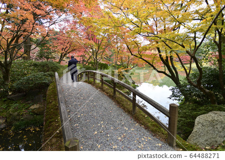 Kyoto Sento Gosho Kitaike Pond Kyoto Sento Gosho Kitaike Pond 64488271