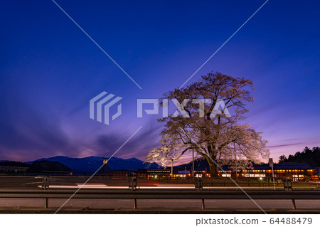 福島縣日本松市市路站足立櫻花 福島縣日本松市市路站足立櫻花 64488479