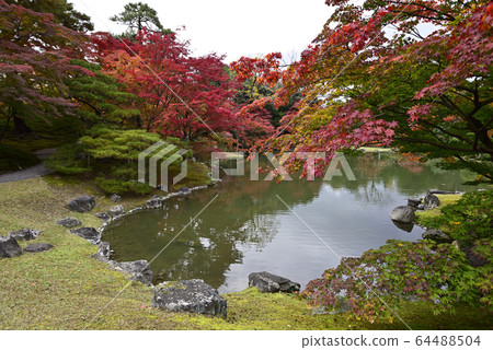Kyoto Sento Imperial Palace Minamiike autumn leaves 64488504