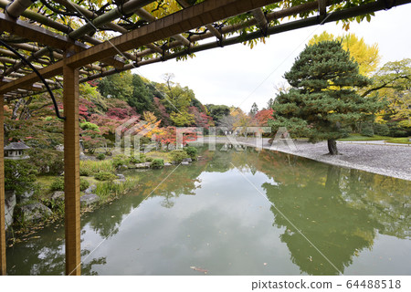 Kyoto Sento Imperial Palace Minamiike autumn leaves Kyoto Sento Imperial Palace Minamiike autumn leaves 64488518