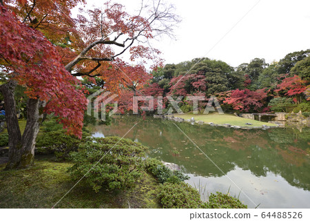 Kyoto Sento Imperial Palace Minamiike autumn leaves Kyoto Sento Imperial Palace Minamiike autumn leaves 64488526