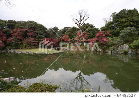 京都淺戶御所南池秋葉 64488527
