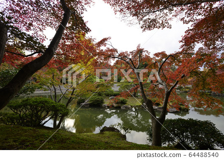 Kyoto Sento Imperial Palace Minamiike autumn leaves Kyoto Sento Imperial Palace Minamiike autumn leaves 64488540
