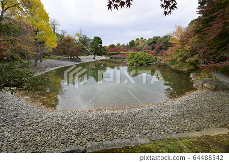 Kyoto Sento Imperial Palace Minamiike autumn leaves Kyoto Sento Imperial Palace Minamiike autumn leaves 64488542