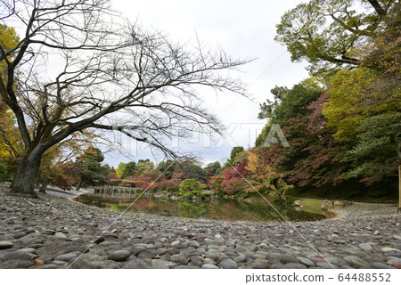 京都淺戶御所南池秋葉 京都淺戶御所南池秋葉 64488552
