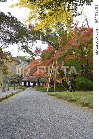Kyoto Sento Imperial Palace Minamiike autumn leaves Kyoto Sento Imperial Palace Minamiike autumn leaves 64488583