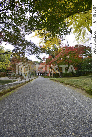 Kyoto Sento Imperial Palace Minamiike autumn leaves Kyoto Sento Imperial Palace Minamiike autumn leaves 64488584