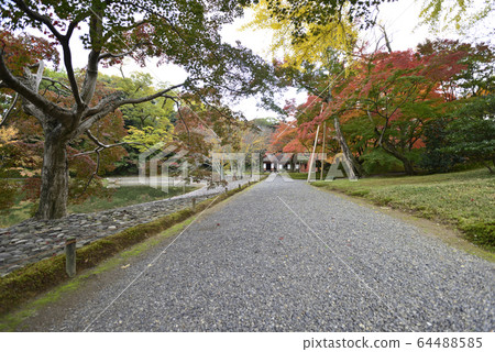 Kyoto Sento Imperial Palace Minamiike autumn leaves 64488585