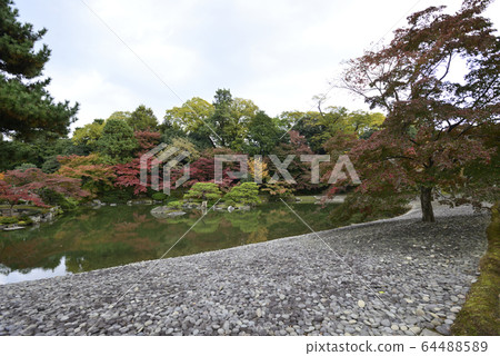 京都淺戶御所南池秋葉 64488589