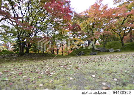 京都淺戶御所南池秋葉 京都淺戶御所南池秋葉 64488599