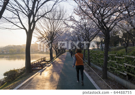 Gallery Reservoir, Ansan City, Gyeonggi-do 64488755