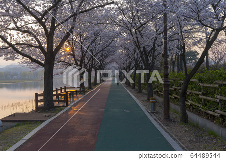 京畿道安山市畫廊水庫 64489544