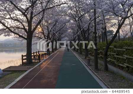 京畿道安山市畫廊水庫 64489545