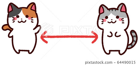 Social distance cat animal 64490015