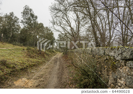 Country trail in the Sierra Guadarrama. Madrid 64490028