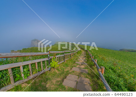 Kiritappu Point 64490123