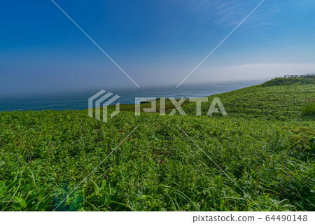 Kiritappu Point 64490148