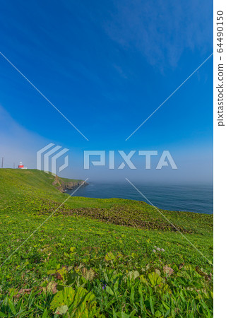 Kiritappu Point 64490150