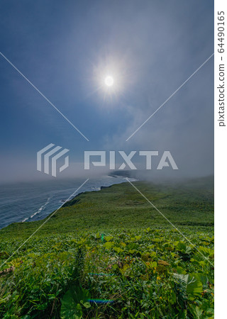 Kiritappu Point 64490165