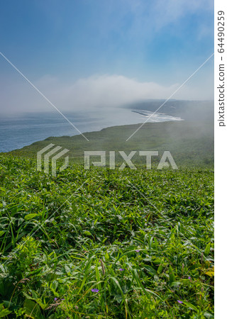 Kiritappu Point 64490259