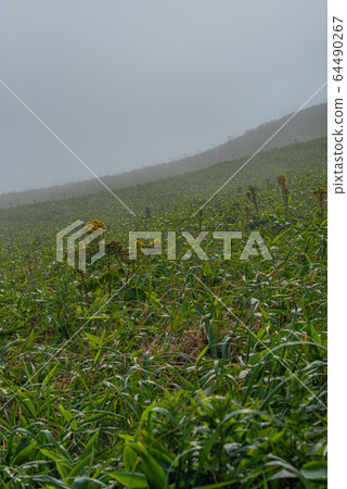 Kiritappu Point Kiritappu Point 64490267
