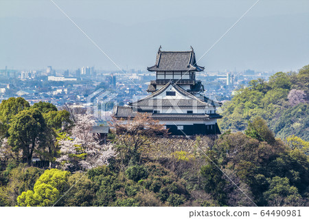 Aichi Prefecture Inuyama Castle and Sakura Inuyama City Urban Landscape Aichi Prefecture Inuyama Castle and Sakura Inuyama City Urban Landscape 64490981