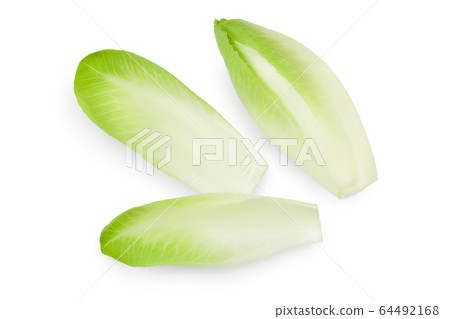 Chicory salad leaves isolated on white background with clipping path and full depth of field. Top view. Flat lay Chicory salad leaves isolated on white background with clipping path and full depth of field. Top view. Flat lay 64492168