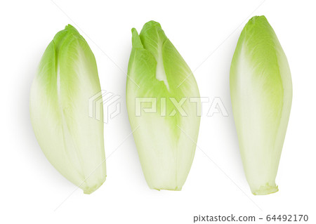 Chicory salad isolated on white background with clipping path and full depth of field. Top view. Flat lay Chicory salad isolated on white background with clipping path and full depth of field. Top view. Flat lay 64492170