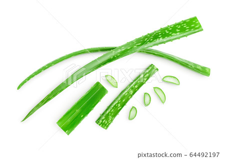 Aloe vera with slices isolated on white background. Top view. Flat lay. 64492197