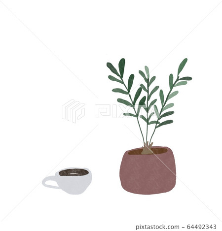 Zamia potted plant and coffee cup 64492343