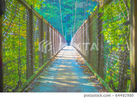 Retrospective suspension bridge 64492980