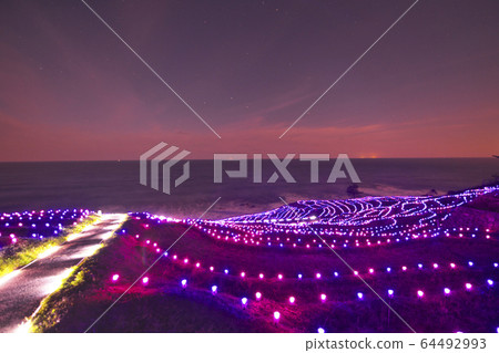 白米Senmaida aze的閃光 64492993