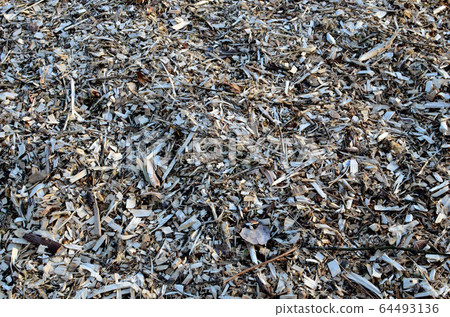 A pile of sawdust after cutting wood products at a woodworking enterprise, sawmill, background 64493136